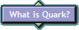 What is Quark?